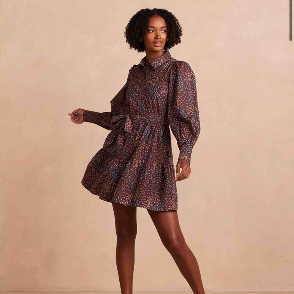 Summersalt The Countryside Poplin Tiered Shirtdress; size M